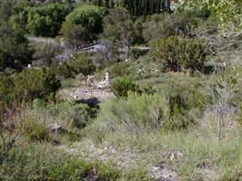 Walters Cemetery