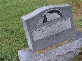 Wanda Janette Hurst Wanda Janette Hurst