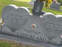 Wanda Lousie Strickland Wanda Lousie Strickland