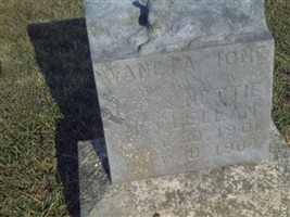 Wanetta Ione McClellan