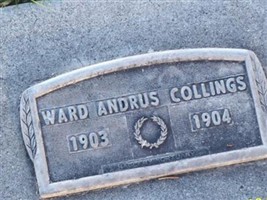 Ward Andrus Collings Ward Andrus Collings