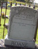Warner Eugene "Gene" Roane
