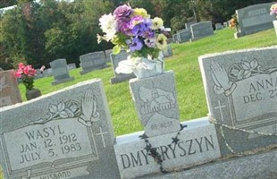 Wasyl Dmytryszyn Wasyl Dmytryszyn