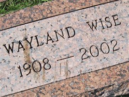 Wayland Wise