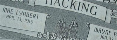 Wayne Briggs Hacking