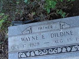Wayne E. Dildine