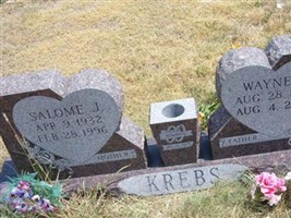 Wayne E. Krebs Wayne E. Krebs