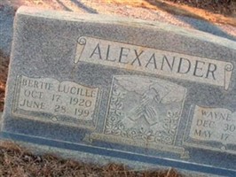 Wayne Elmo Alexander