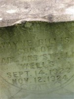 Wayne Gillis Wells