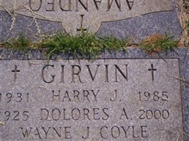 Wayne J Coyle