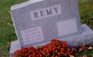 Wayne Retis Remy