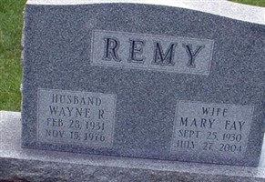 Wayne Retis Remy