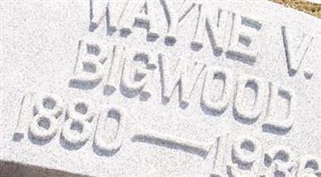 Wayne V Bigwood