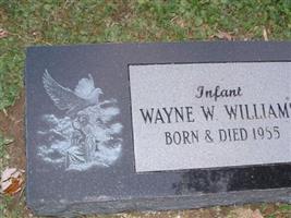 Wayne W. Williams