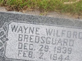 Wayne Wilford Bredsguard Wayne Wilford Bredsguard