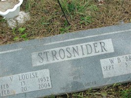 W. B. "Brad" Strosnider W. B. "Brad" Strosnider