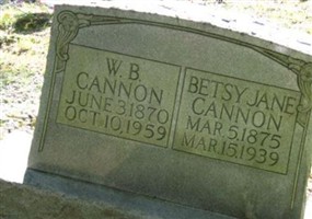 W. B. Cannon W. B. Cannon