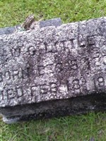 W. C. Little W. C. Little