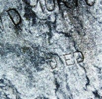 W. D. Morton W. D. Morton