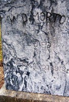 W. D. Morton W. D. Morton