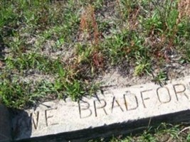 W. E. Bradford/Plot W. E. Bradford/Plot