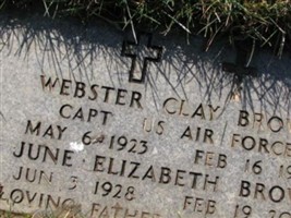 Webster Clay Brown Webster Clay Brown