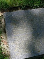 Wehrmann Golombeck Franz