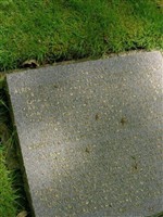 Wehrmann Heinrich Spangenberg