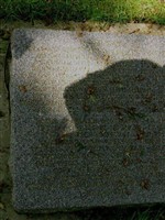 Wehrmann Johannes Ulrich