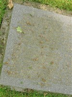 Wehrmann Oswald Mausezahl