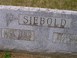 Welcome S Siebold