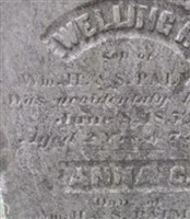 Welling H Palmer