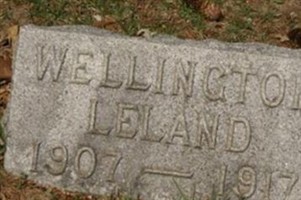 Wellington Leland