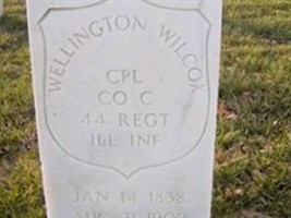 Wellington Wilcox