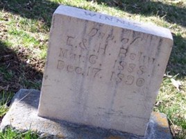 Wenniefred "Winnie" Bohn