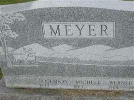 Werner F Meyer