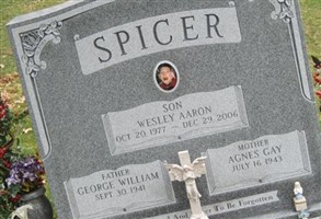 Wesley Aaron Spicer Wesley Aaron Spicer