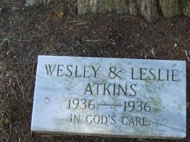 Wesley Atkins Wesley Atkins