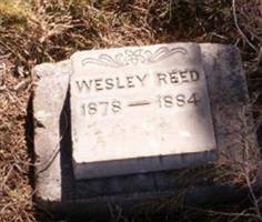 Wesley Reed