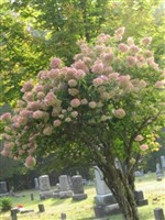 Westbrookville Cemetery Westbrookville Cemetery