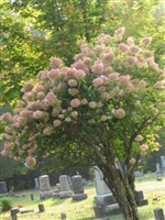 Westbrookville Cemetery