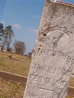 W H Carruth W H Carruth