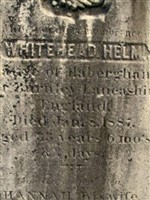 Whitehead Helm