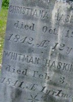 Whitman Haskins