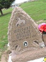 Whitney Allene Murray