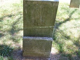 Wife Of David Trapp