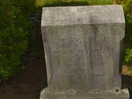 Wilber D Pomeroy Wilber D Pomeroy