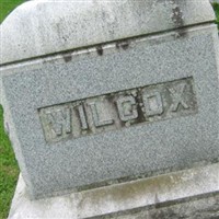 Wilcox Wilcox