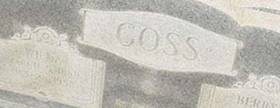 Wilda Goss Wilda Goss