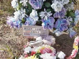 Wiley Douglas Cagle